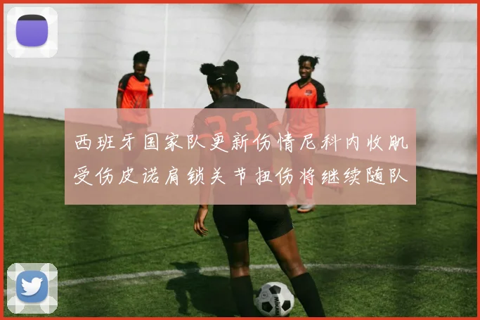 西班牙国家队更新伤情尼科内收肌受伤皮诺肩锁关节扭伤将继续随队训练