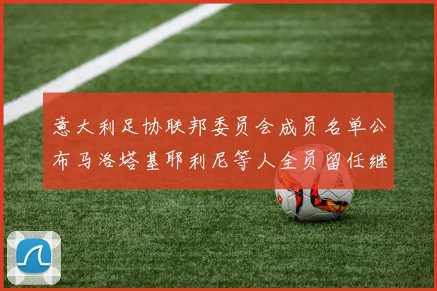 意大利足协联邦委员会成员名单公布马洛塔基耶利尼等人全员留任继续服务